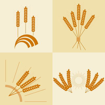Wheat ears, eco products, wheat ear icon
