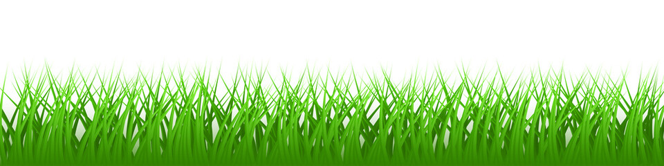 Fototapeta premium green realistic vector grass isolated on white background