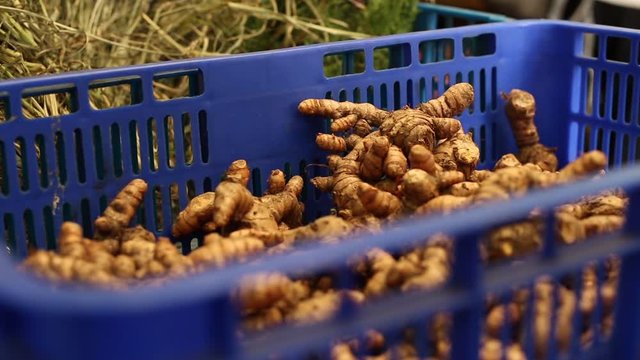 A basket full of curcuma zedoaria in a shop of Herb Alley, a small alley that is full of herbalist stores in Taipei, Taiwan. A person is touching them.