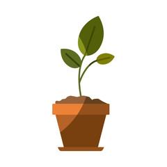 colorful silhouette of small plant in flower pot with half shadow vector illustration