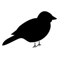 Bird the black color icon .