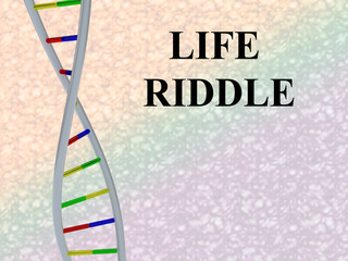 Life Riddle concept