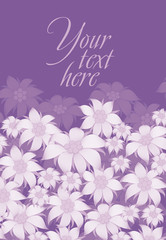Frame flower. Background of flowers for a poster, invitation, postcard, photo frame, packing paper. On a violet background, white flowers of edelweiss, water lily, lotus.