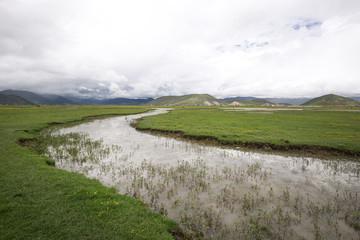 Lawn with river in shangrila yunnan china