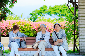日本人 高齢者女性 公園のベンチでおしゃべり