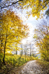 Obraz premium Natur, wandern, freizeit, urlaub