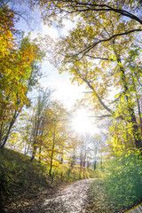 Natur, wandern, freizeit, urlaub