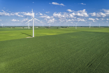 Wind farm and countryside cornfield, agriculture industry