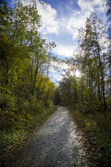 Natur, wandern, freizeit, urlaub
