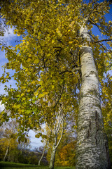 Fototapeta premium Natur, wandern, freizeit, urlaub