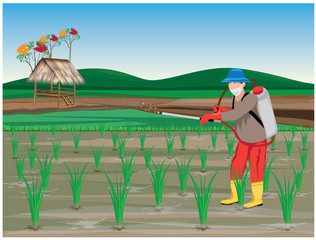 farmer sprays rice plant vector design