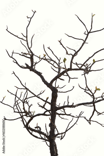Download 93 Background Reference Art HD Terbaik