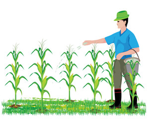 agriculturist manure corn plant vector design