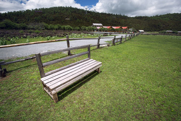 bench on the lawn