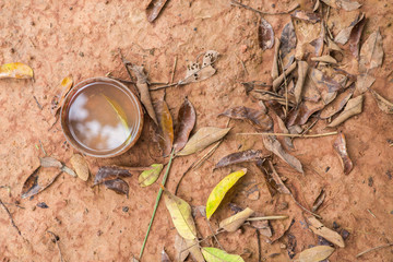 Wet ground