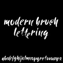 Obraz premium Hand drawn elegant calligraphy font. Modern brush lettering. Grunge style alphabet. Vector illustration.