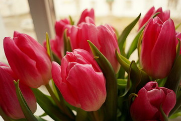 Obraz premium flower