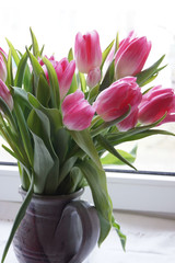 tulip flower
