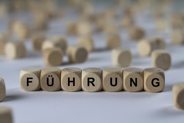 FÜHRUNG - Bilder mit Wörtern aus dem Bereich Nordkorea, Wort, Bild, Illustration