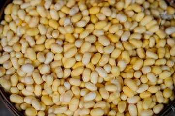 color of Cocoon / nature / butterfly / silk