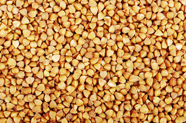 Close up of the buckwheat