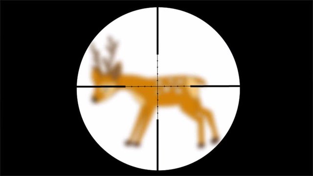鹿を銃で駆除する