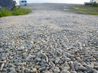 サンゴ礁の浜辺