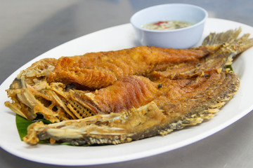 Snapper topped with sauce