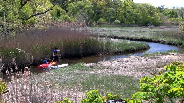 Asian student kayaker and paddleboarder make their way around bend of narrow stream through inland salt marsh on scorton creek in Sandwich Cape Cod
