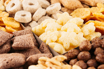 Corn flakes collection on different cereals closeup, decorative background.