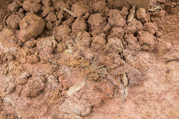 Clay wet