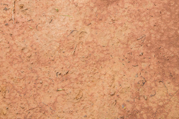 Clay wet