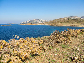 Fototapeta na wymiar A beach in Gumusluk - seaside village and fishing port in Bodrum, Turkey