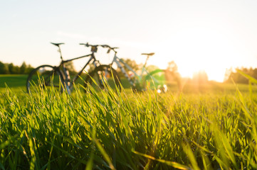 grass foreground and bicycles
