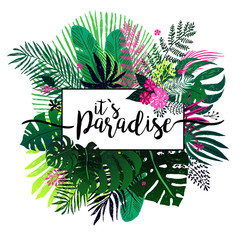 summer tropical background with exotic bouquet, tropical plants, palm leaves and flowers on a white background. Vector illustration, design elements.