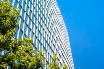 Contemporary office building with green leaves