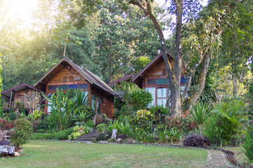 Twin  wooden houses in the garden