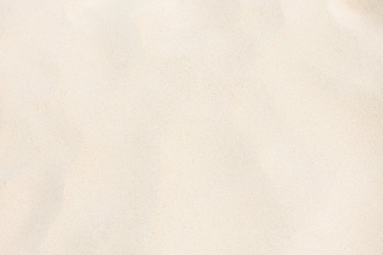 White sand background.