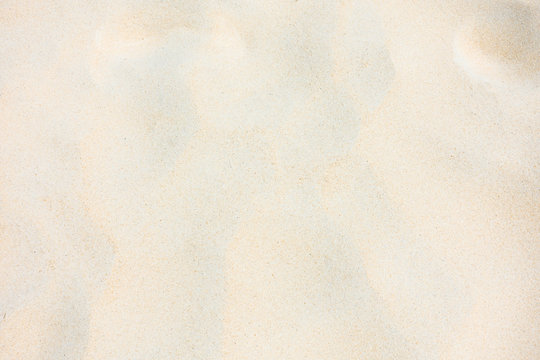 White sand background.