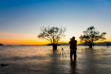 Men taking pictures beautiful mangrove tree with a colorful sunset,Phuket,Thailand.