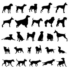 Dog Silhouette Vector