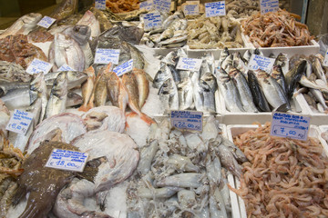 Variety of Fish for Sale on Market Stall, Bologna