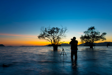 Fototapeta premium Men taking pictures beautiful mangrove tree with a colorful sunset,Phuket,Thailand.