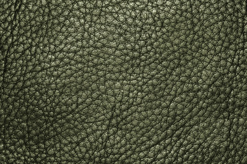 Green leather texture background for fashion, furniture or interior concept design.