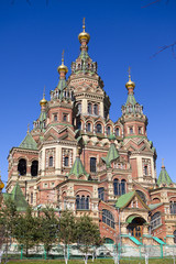 Fototapeta na wymiar Russia, suburb of Saint Petersburg, the St. Peter and Paul Cathedral.