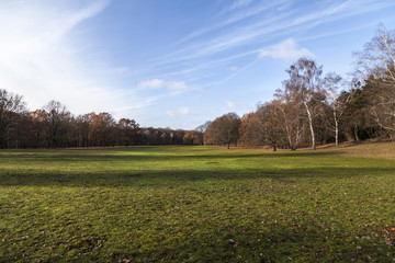 Spätherbst im Park Rehberge in Berlin