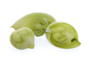 Close-up of garbanzo beans isolated.    