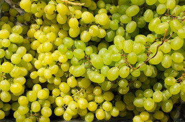 Background of green grape
