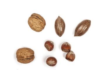 Nussmischung aus Wallnüssen, Haselnüssen und Pecannüssen Freisteller