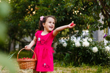Little girl is carrying a basket of strawberries